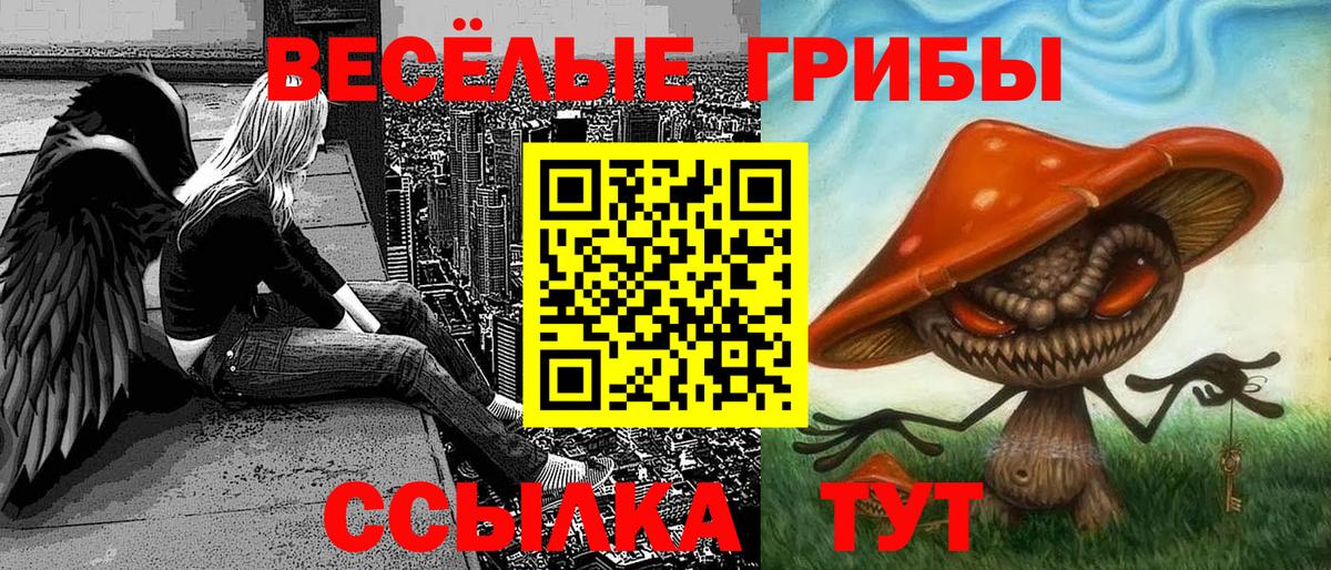Зеленокумск  Галлюциногенные грибы мицелий  купить наркотик  Вход с VPN 